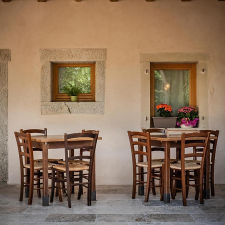 Agriturismo Il Bosco Camere Vittorio Veneto Dış mekan fotoğraf