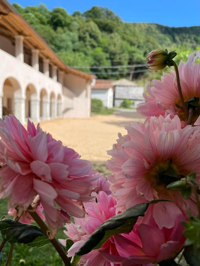 Agriturismo Il Bosco Camere Vittorio Veneto Dış mekan fotoğraf
